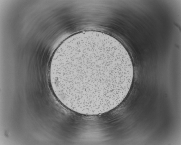 X0000103491048200810241057