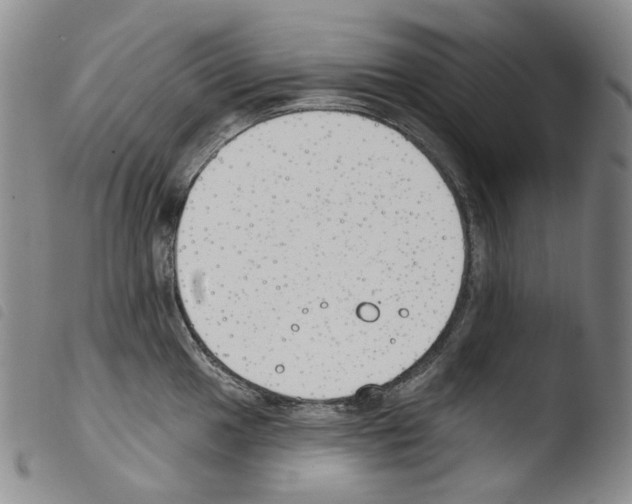 X0000103491049200810241057