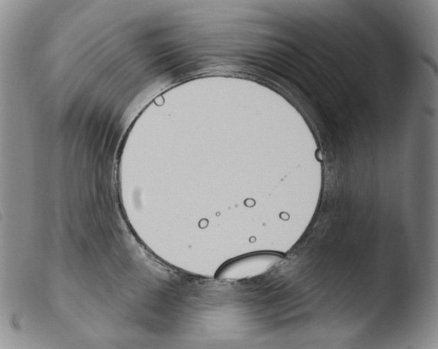 X0000103491050200810241057