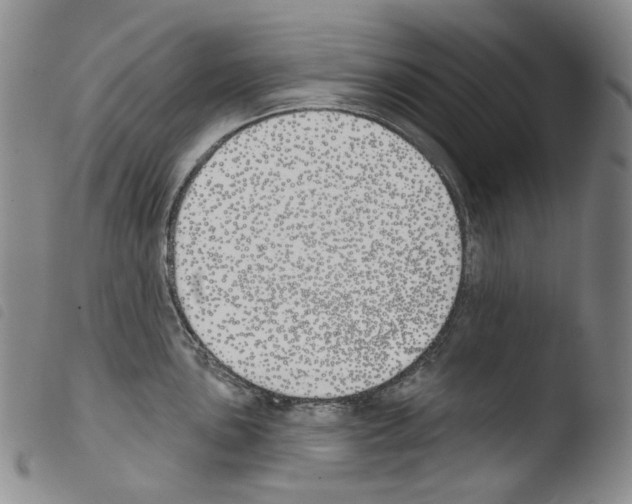 X0000103491051200810241057