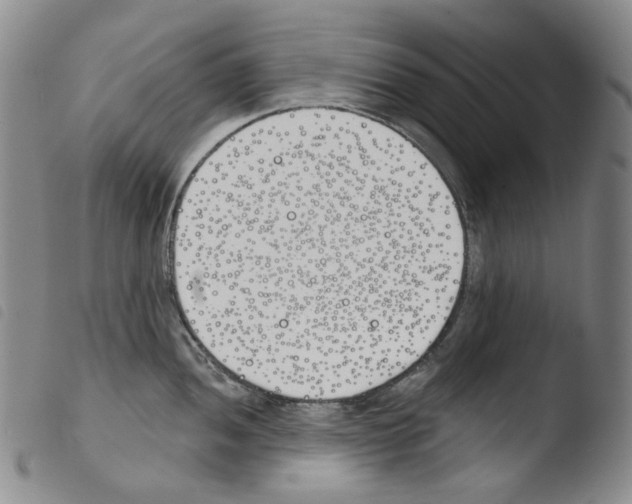 X0000103491052200810241057
