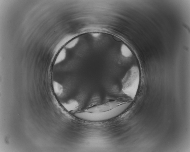 X0000103491053200810241057