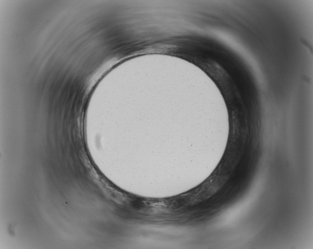 X0000103491054200810241057