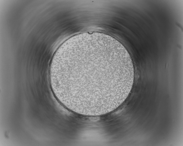 X0000103491055200810241057