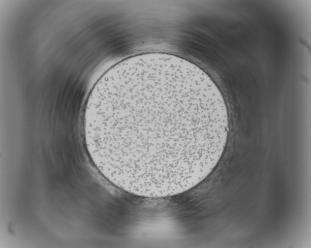 X0000103491056200810241057