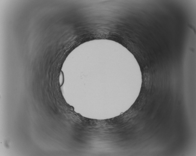 X0000103491057200810241056