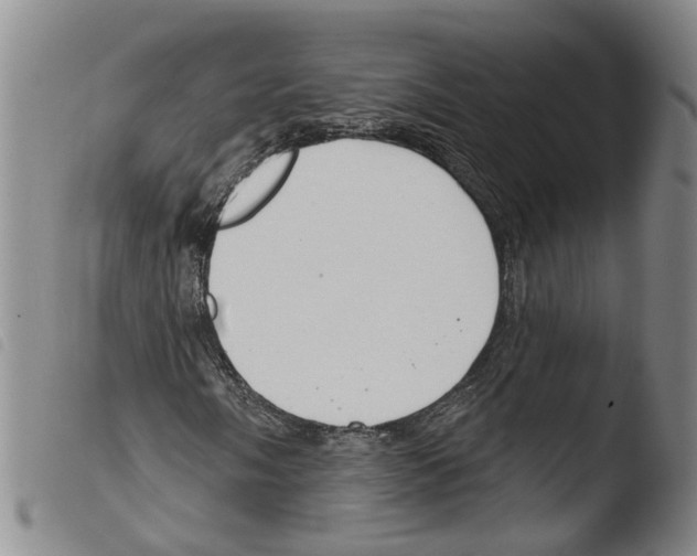 X0000103491058200810241056