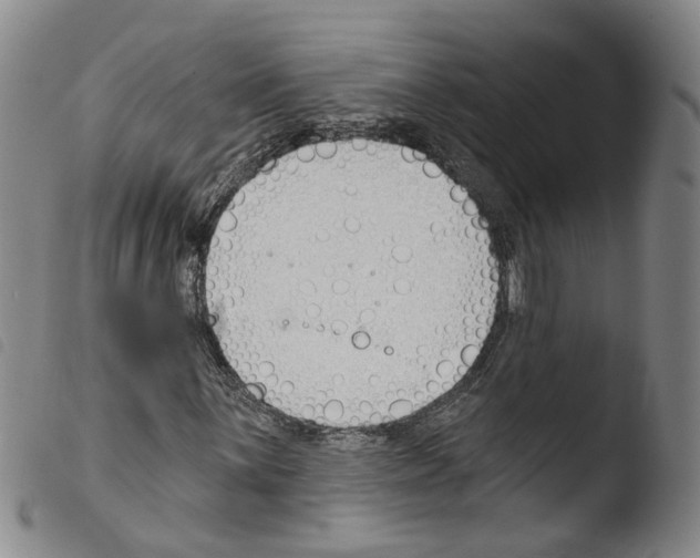 X0000103491059200810241056