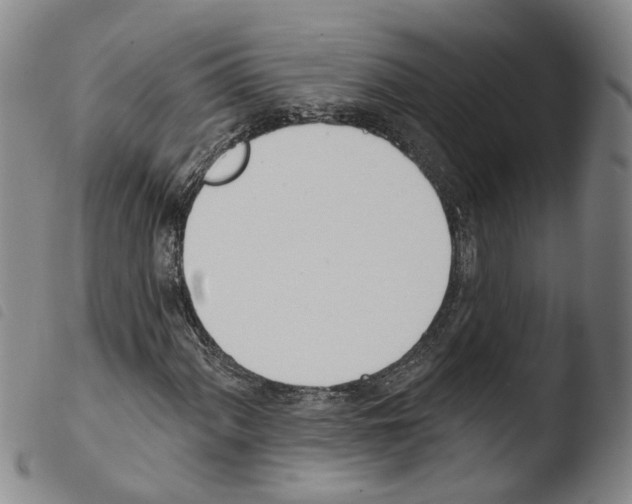 X0000103491060200810241056