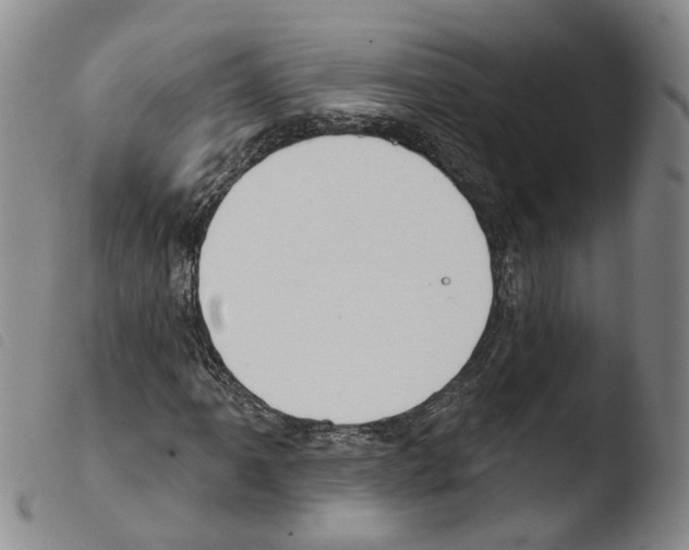 X0000103491061200810241056