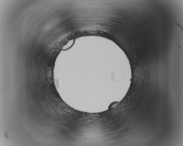 X0000103491062200810241056