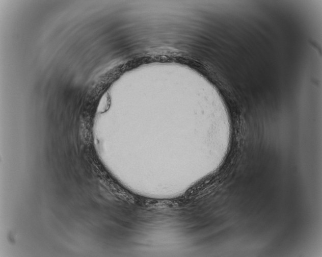 X0000103491063200810241056