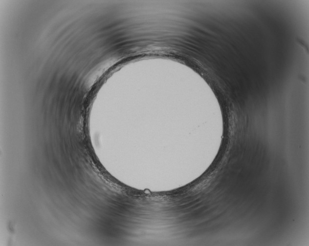 X0000103491066200810241056