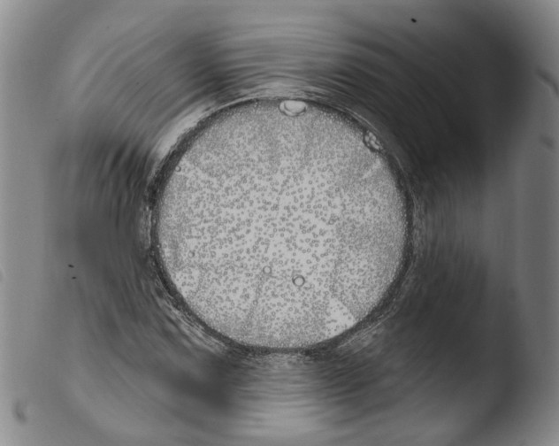 X0000103491067200810241056