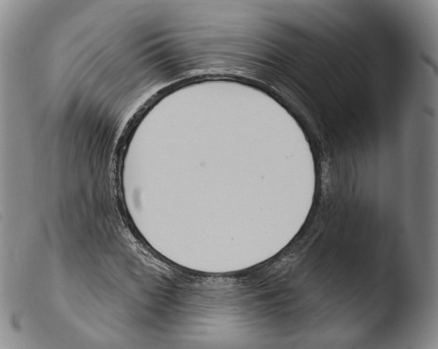 X0000103491068200810241056