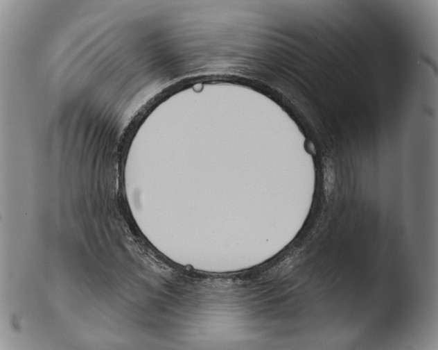 X0000103491069200810241056
