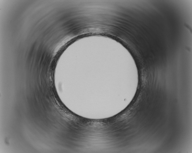 X0000103491070200810241056