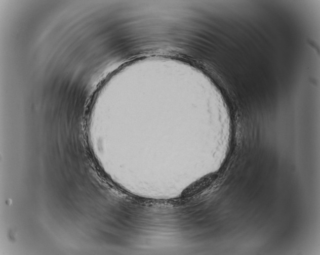 X0000103491071200810241056