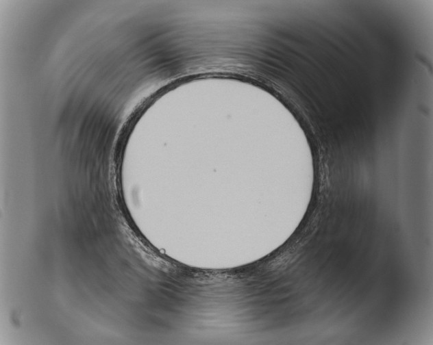 X0000103491072200810241056