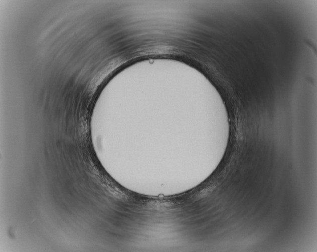 X0000103491073200810241056