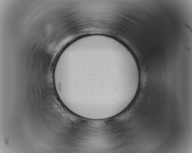 X0000103491074200810241056