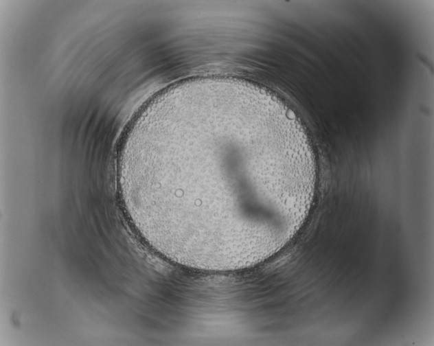 X0000103491075200810241056