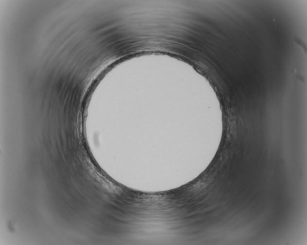 X0000103491076200810241056