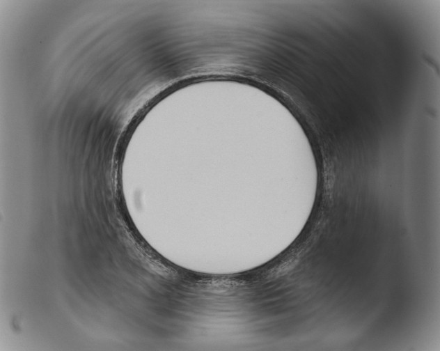 X0000103491077200810241056