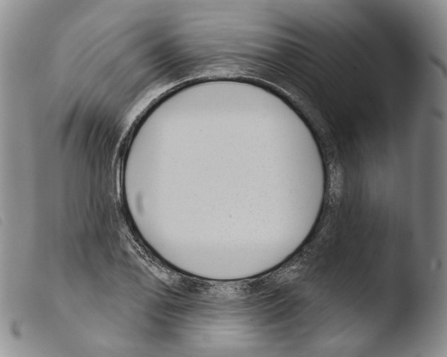 X0000103491078200810241056