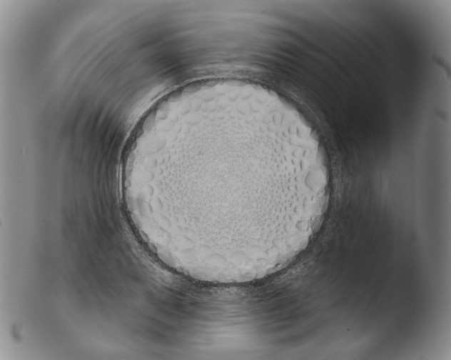 X0000103491079200810241056