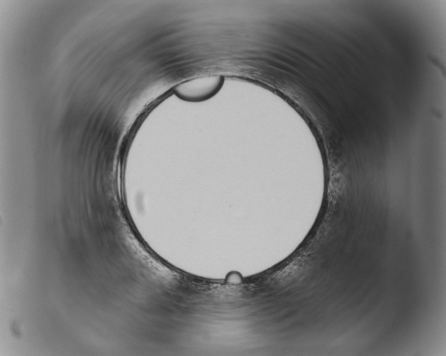 X0000103491080200810241056