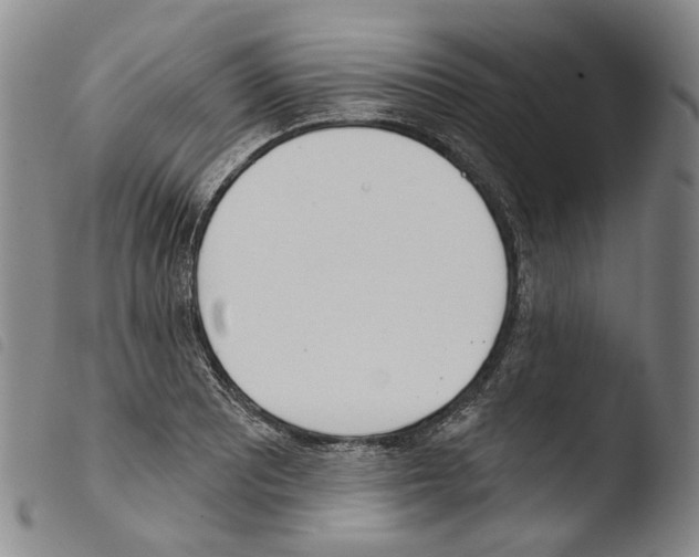 X0000103491081200810241056