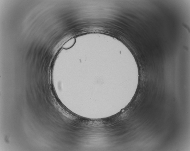 X0000103491082200810241056