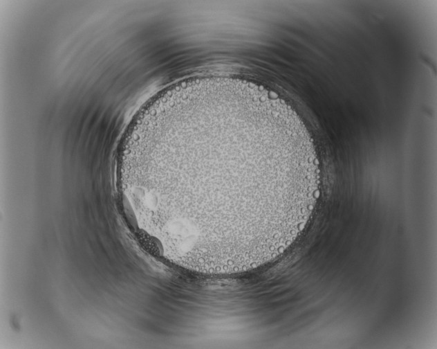 X0000103491083200810241056
