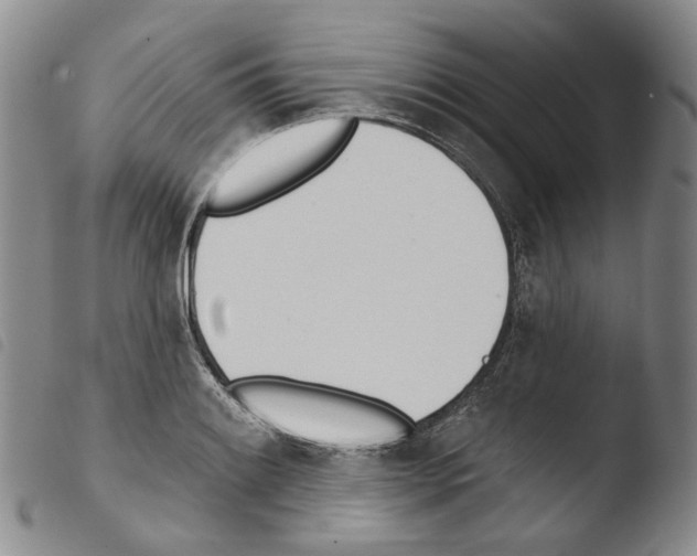 X0000103491084200810241056