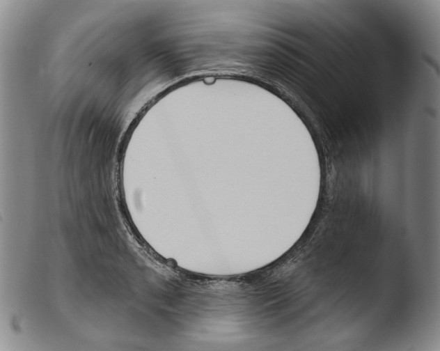 X0000103491085200810241056