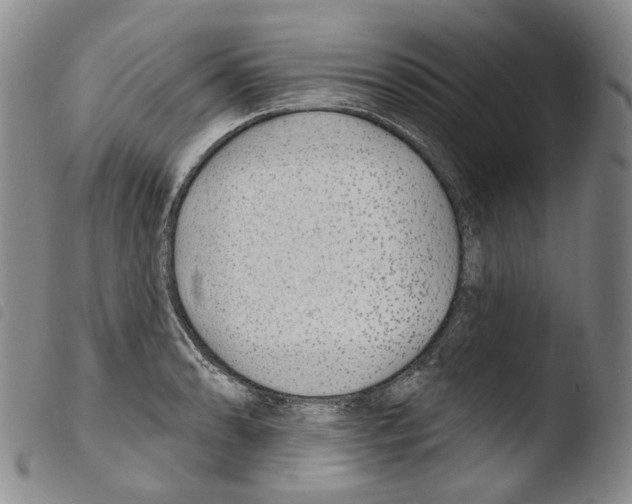 X0000103491086200810241056
