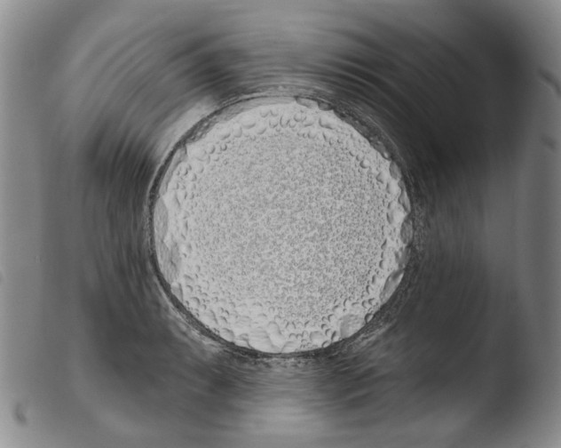 X0000103491087200810241056