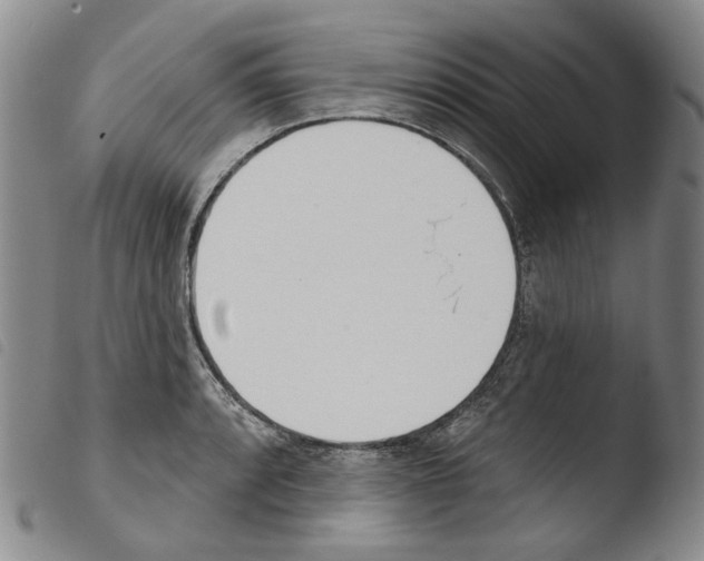 X0000103491088200810241056