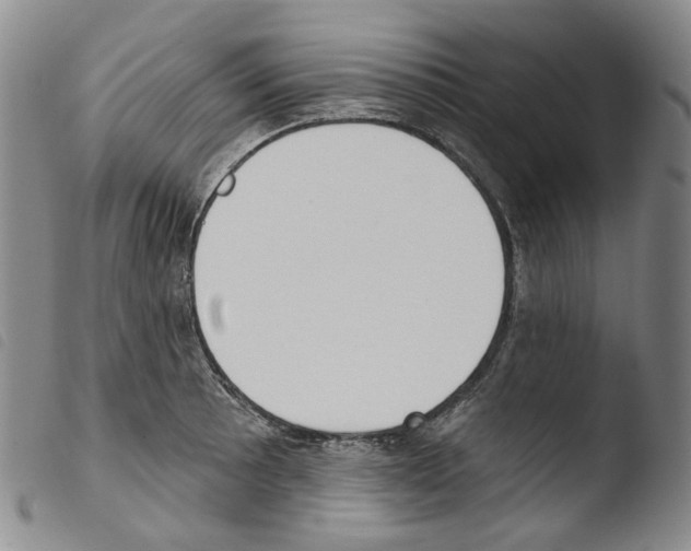X0000103491089200810241056