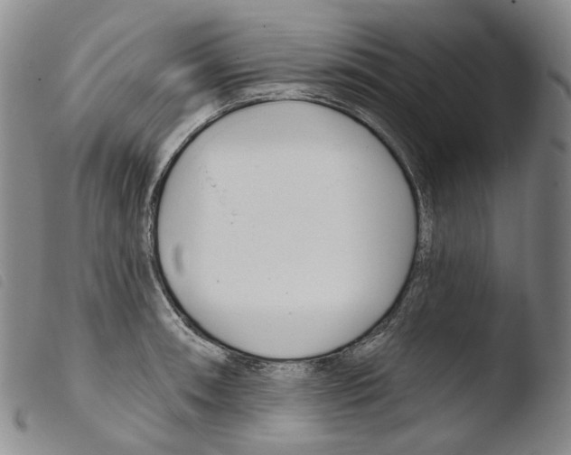 X0000103491090200810241056