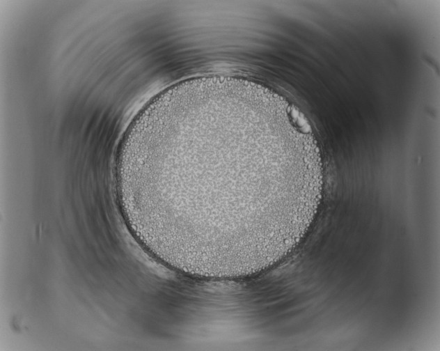 X0000103491091200810241055