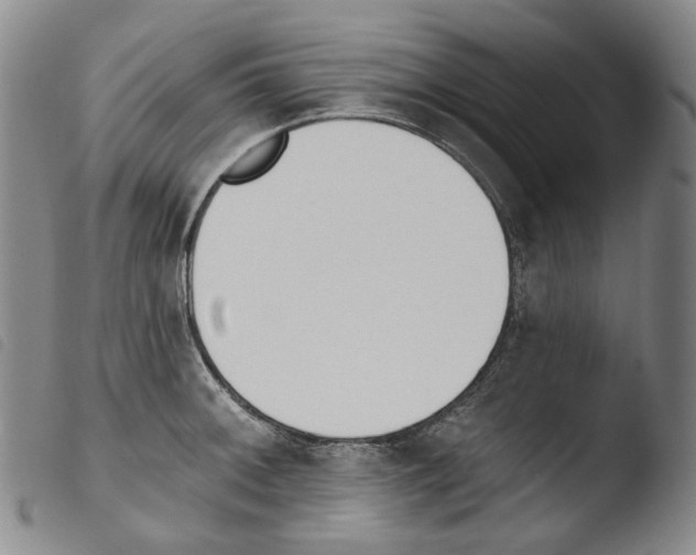 X0000103491092200810241055