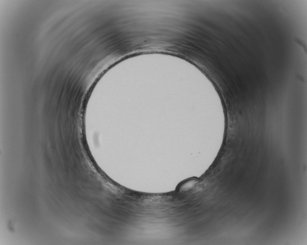 X0000103491093200810241055