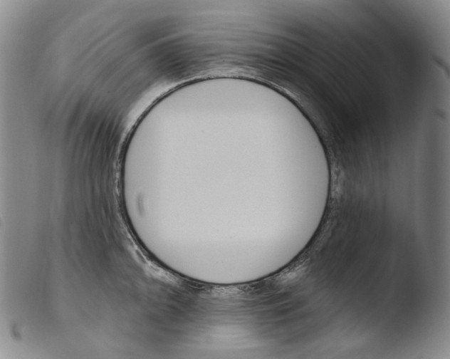 X0000103491094200810241055