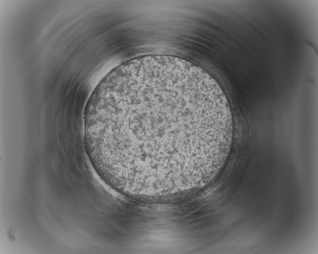 X0000103491095200810241055