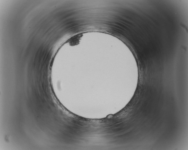 X0000103491096200810241055