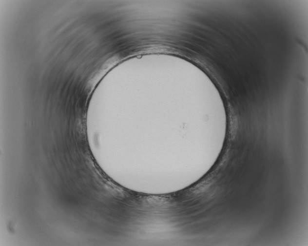 X0000103491097200810241055