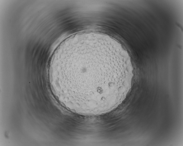 X0000103491099200810241055