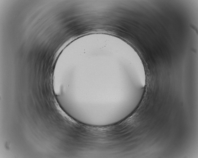 X0000103491100200810241055